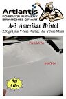 A3 Amerikan Bristol Karton 29.7x42 cm 50 Adet 220 gr Bir Tarafı Parlak Bir Tarafı Mat Kağıt Biristol Karton