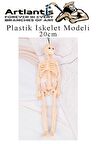 Plastik İskelet Modeli 20 cm 1 Adet Plastik İnsan İsket Modeli Silikon İskelet Deneyi Araba Süsü