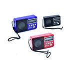 Büro Ev Ofis Radyo Keyfi için Micro Kart Girişli Usb El Radyosu