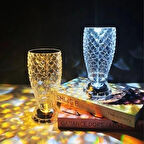 Büro Ev Ofis Hediyesi için Usb Şarjlı 16MOD Işıklı Balık Süzgeç Masaüstü Kristal Akrilik Lamba