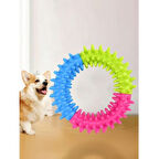 Büro Ev Ofis Evcil Pet Hayvanı Köpek için Diş Isırma Kaşıma Çemberi