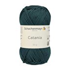 Catania El Örgü İpi / 50G / 244 Agave