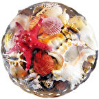 Fruit Of The Sea 35 CM