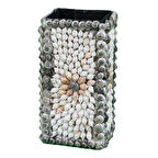 Kalemlik Tekli Deniz Kabuğu Kapmala