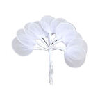 Raket (100 Adet)  Beyaz