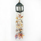 Yuvarlak Kuşkafesi Pecten Kabuklu Sarkaç