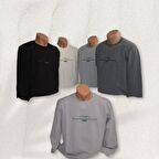 Erkek Açık Gri Sweatshirt