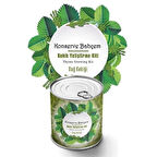 BUFFER® Konserve Bahçem Evde Konservede Kekik Dağ Kekiği Yetiştirme Kiti