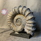 Uretti - Zehra 2303 - El Yapımı Dekoratif Deniz Kabuğu - Gri