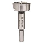 Bosch Menteşe Açma Ahşap Matkap Ucu 40 mm - 2608596978