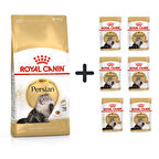Royal Canin Persian Yetişkin Kedi Maması 2 kg + 6 Adet Yaş Mama