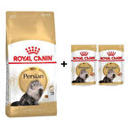 Royal Canin Persian Yetişkin Kedi Maması 2 kg + 2 Adet Yaş Mama Hediye