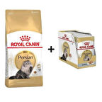 Royal Canin Persian Yetişkin Kedi Maması 4 kg + 12 Adet Yaş Mama