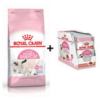 Royal Canin Mother BabyCat Yavru Kuru Kedi Maması 4 Kg + 12 Adet Yaş Mama