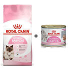Royal Canin Mother BabyCat  Yavru Kuru Kedi Maması 4 Kg + 1 Adet Yaş Mama Hediye