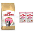 Royal Canin Kitten Persian Yavru Kedi Maması 2 kg + 2 Adet Yaş Mama Hediye