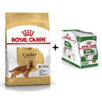 Royal Canin Cocker Yetişkin Köpek Maması 3 kg + 12 Adet Yaş Mama