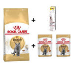 Royal Canin British Shorthair Yetişkin Kedi Maması 4 kg +2 Adet RC Yaş Mama 85 Gr + 20 gr GimCat Malt 