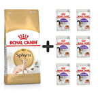 Royal Canin Sphynx Yetişkin Kedi Maması 2 kg + 6 Adet Yaş Mama