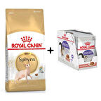 Royal Canin Sphynx Yetişkin Kedi Maması 2 kg + 12 Adet Yaş Mama