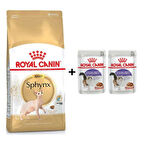Royal Canin Sphynx Yetişkin Kedi Maması 2 kg + 2 Adet Yaş Mama Hediye