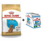 Royal Canin Poodle Puppy Köpek Maması 3 Kg + 12 Adet Yaş Mama