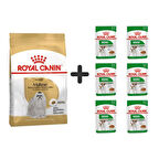Royal Canin Maltese Bichon Yetişkin Köpek Maması 1,5 kg + 6 Adet Yaş Mama