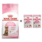 Royal Canin Kitten Sterilised Kısırlaştırılmış Yavru Kedi Maması 2 Kg + 2 Adet Yaş Mama Hediye