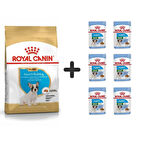 Royal Canin French Bulldog Yavru Köpek Maması 3 kg + 6 Adet Yaş Mama