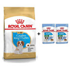 Royal Canin Cavalier King Charles Yavru köpek Maması 1,5 kg + 2 Adet Yaş Mama Hediye