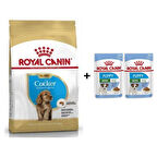 Royal Canin Cocker Junior Yavru Köpek Maması 3 kg + 2 Adet Yaş Mama Hediye