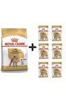 Poodle Adult Köpek Maması 3 Kg + 6 Adet Yaş Mama