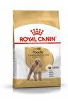 Poodle Adult 3 Kg Kuru Köpek Maması