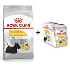 Royal Canin Mini Dermacomfort Yetişkin Köpek Maması 3 Kg + 12 Adet Yaş Mama