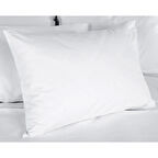 Yumuşak Hijyenik Tek Kullanımlık Hasta Yastık Alezi (4 Adet)