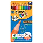 Bic Kuruboya Evolutıon 12 Li 82902910