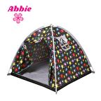 Rainbow Ruby Acemi Boyacı