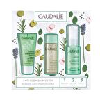 Caudalie Vinopure Akneli Ciltler İçin Onarıcı Akne Jel-Serum 3'lü Bakım Seti   
