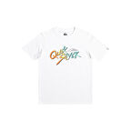 Quiksilver Signature Move Erkek Çocuk Tişört  EQBZT04587