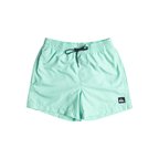 Quiksilver Everyday 13 Erkek Çocuk Deniz Şortu  EQBJV03331