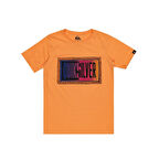 Quiksilver Day Trıpper Ss Youth Çocuk T-Shirt EQBZT04714-NJF0 Turuncu