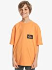 Quiksilver Back Flash Erkek Çocuk Tişört 8-16 Yaş EQBZT04706