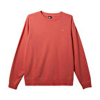 Quiksilver Salt Water Crew Erkek Sweatshirt