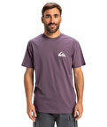 Quiksilver EQYZT08042-PQC0 Ev Mini Logo Ss Erkek Spor Tişört