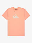 Quiksilver EQYZT08072-MEF0 Ev Comp Logo Ss Erkek Spor Tişört