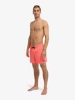 Quiksilver Stretch Printed Volley 16" (EQYJV04021) Erkek Deniz Şortu
