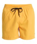 Quiksilver EVERYDAY 15 Erkek Şort EQYJV04120-QK.3091
