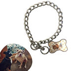 CELİK AVM® 65 cm Uzunlukta Zincir Model Köpek İçin Boyun Tasması