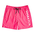 Billabong All Day Heritage Erkek Deniz Şortu
