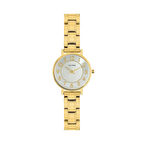 CLYDA CLA810DAD Kadın Kol Saati